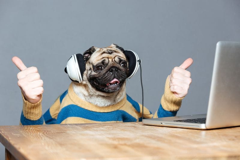 Keep Your Website Content Simple Keep Your Website Content Simple